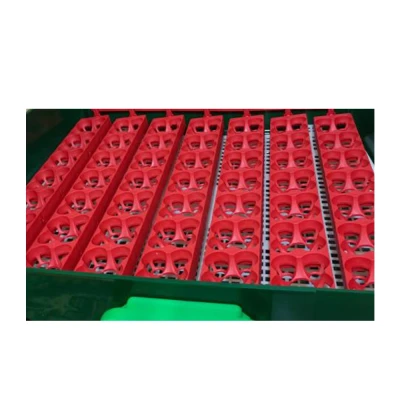 Инкубатор River ET 49