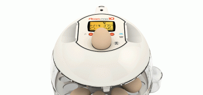 Инкубатор Rcom 10 PRO-Plus