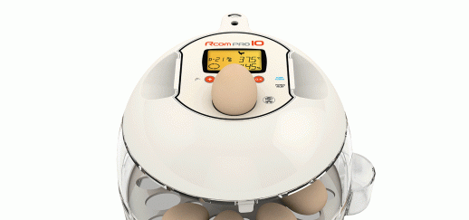 Инкубатор Rcom 10 PRO-Plus