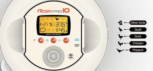 Инкубатор Rcom 10 PRO-Plus