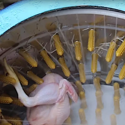 Перосъёмная машина NT-600WF для бройлеров с подачей воды 1,5 кВт