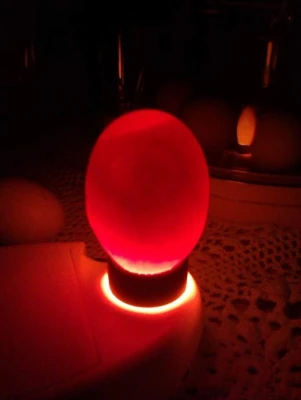 Овоскоп Brinsea Ova-View Standart