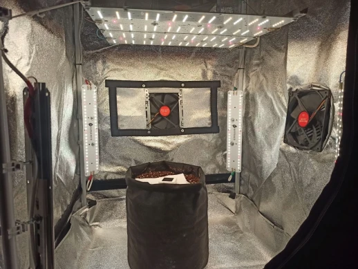 Модуль 1.6 Ultra Quantum board Samsung lm301b 3000K+5000K + Samsung lh351h 660nm