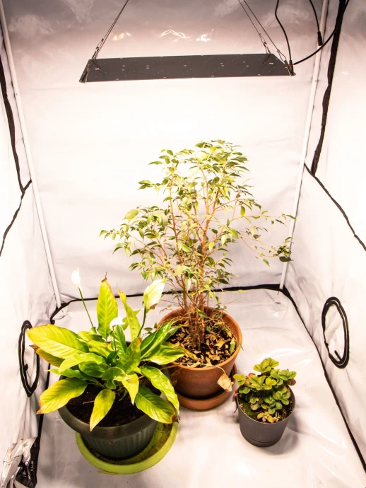 Модуль 1.6 Ultra Quantum board Samsung lm301b 3000K+5000K + Samsung lh351h 660nm