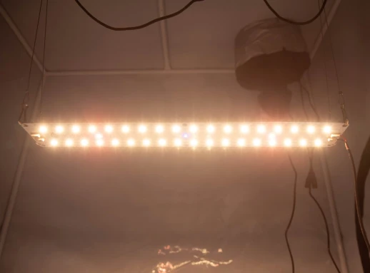 Модуль 1.6 Ultra Quantum board Samsung lm301b 3000K+5000K + Samsung lh351h 660nm