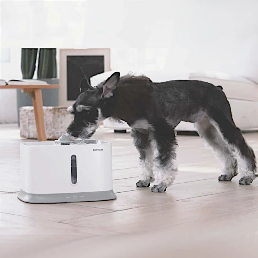 Автопоилка фонтан Petwant W1 2,7 литра для кошек и собак