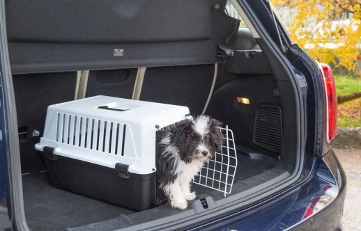 Переноска Ferplast ATLAS 10 EL без аксессуаров для кошек и собак