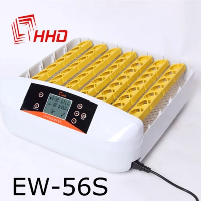 Инкубатор HHD 56S