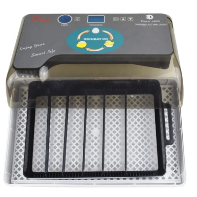 Инкубатор HHD 12 мини с овоскопом