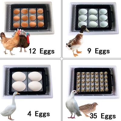 Инкубатор HHD 12 мини с овоскопом