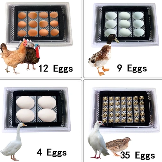 Инкубатор HHD 12 мини с овоскопом