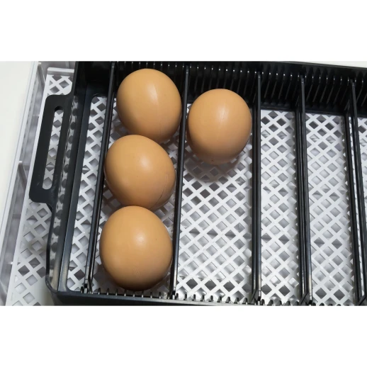 Инкубатор HHD 12 мини с овоскопом