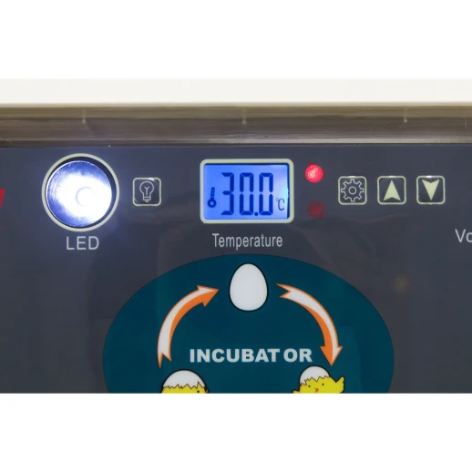 Инкубатор HHD 12 мини с овоскопом