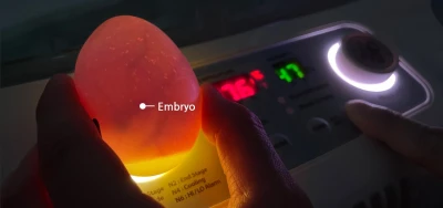 Инкубатор Rcom 20 MAX DO с овоскопом