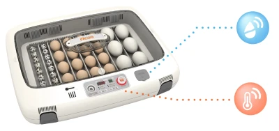 Инкубатор Rcom 50 MAX DO с овоскопом