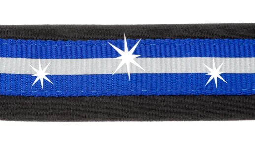 Шлейка Ferplast DAYTONA CROSS L с мягкой подкладкой и магнитными замками синяя