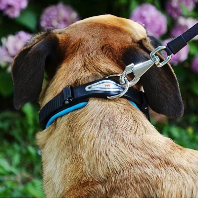 Ошейник Ferplast ERGOFLUO C15/42 с подкладкой и микрорегулировкой желтый