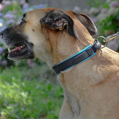 Ошейник Ferplast ERGOFLUO C15/42 с подкладкой и микрорегулировкой оранжевый