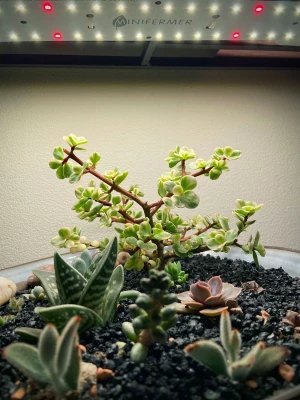 Модуль Фулл Комфорт. Универсальный. Белый свет.