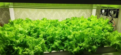 Модуль Фулл Комфорт. Универсальный. Белый свет.