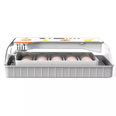 Инкубатор HHD 20 автоматический для яиц с овоскопом