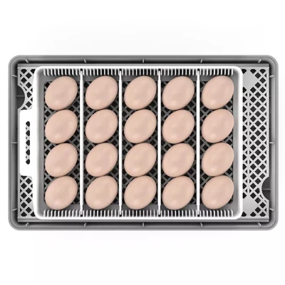 Инкубатор HHD 20 автоматический для яиц с овоскопом