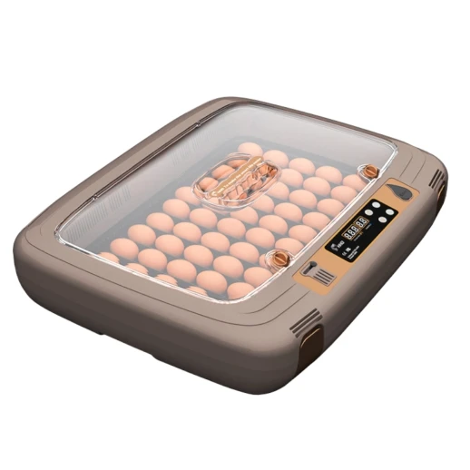 Инкубатор HHD 50 автоматический для яиц