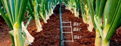 Капельная лента 30 см / 100 м