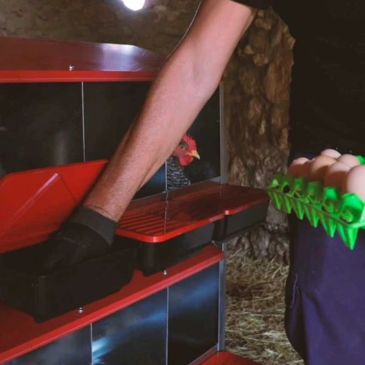 Гнездо для кур-несушек Copele Platinum 3 секции на ножках