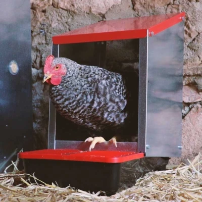 Гнездо для кур-несушек Copele Platinum 3 секции