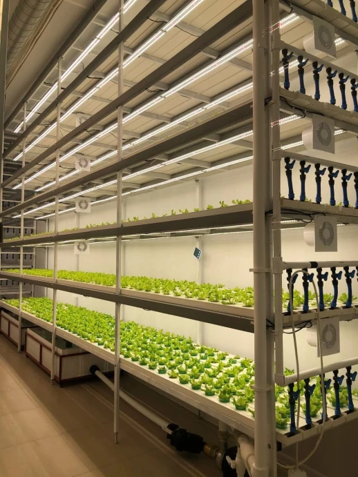 Комплект двойной Quantum line 120 см