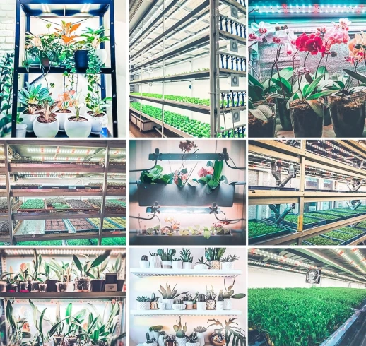 Комплект двойной Quantum line 120 см