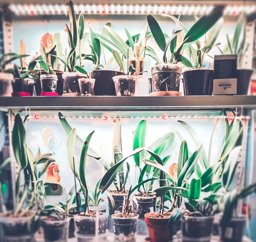 Комплект двойной Quantum line 120 см