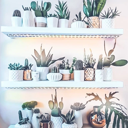 Комплект двойной Quantum line 120 см