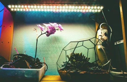 Комплект двойной Quantum line 120 см