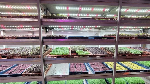 Комплект двойной Quantum line 120 см