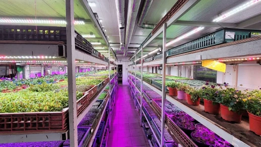 Комплект двойной Quantum line 120 см