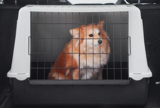 Контейнер Ferplast ATLAS CAR MINI для перевозки в автомобиле