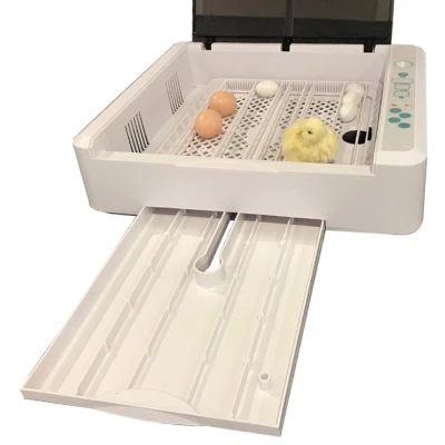 Инкубатор HHD 36