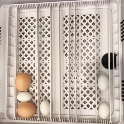 Инкубатор HHD 36