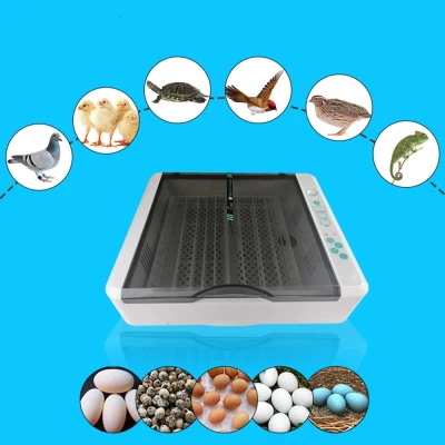 Инкубатор HHD 36