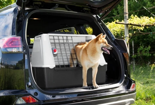 Контейнер в а/м Ferplast ATLAS CAR 80 для собак