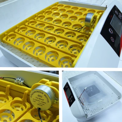 Инкубатор HHD 42A