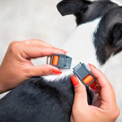 Ошейник Ferplast EVOLUTION C25/56 с ПВХ покрытием и магнитной застежкой чёрный