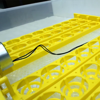 Инкубатор HHD 48