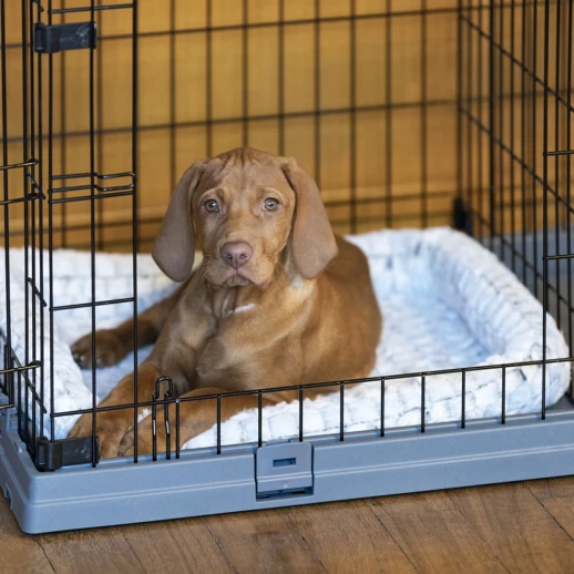Клетка Ferplast SUPERIOR 90 для собак с пластиковой крышей и поддоном