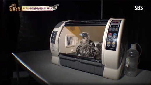 Брудер-питомник для птиц Rcom Bird Brooder S