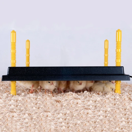 Панель обогревательная Olba Comfort с регулятором 25х25 см 15 Вт для цыплят