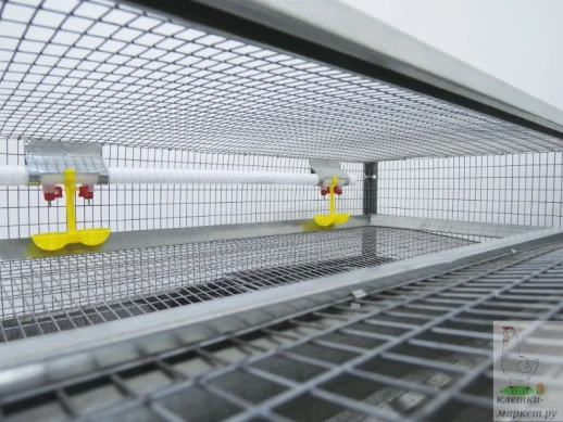 Клетка для 50 перепелов Гранд Стандарт