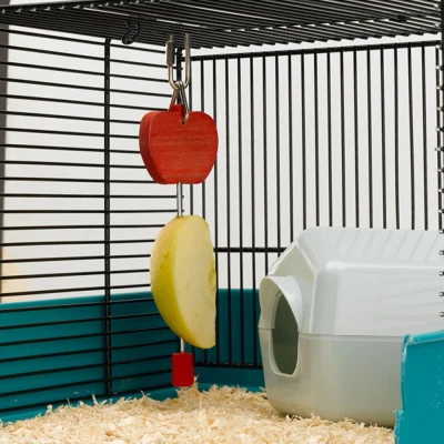 Держатель для фруктов для птиц Ferplast PA 4328